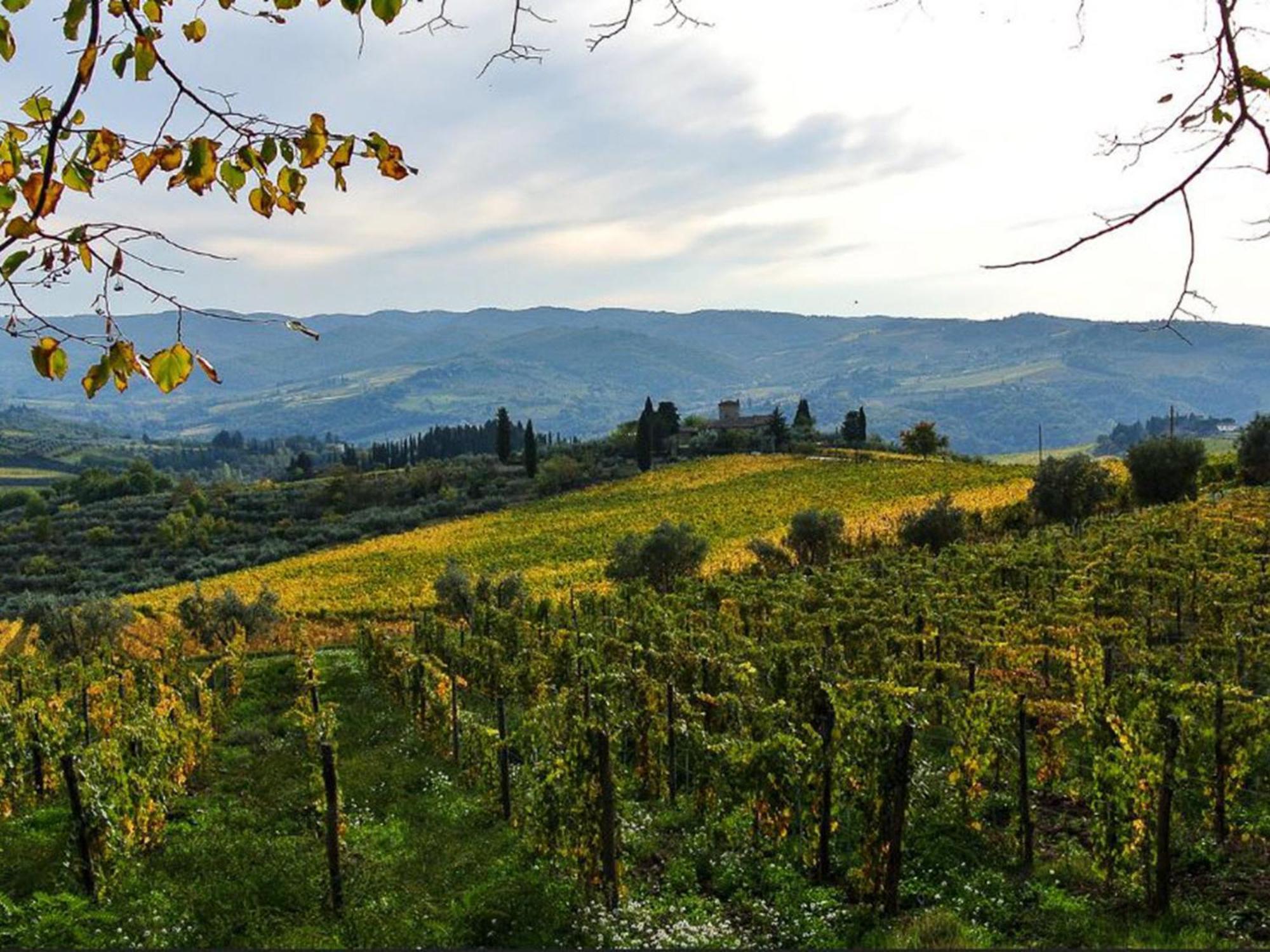 Holiday Home La Torre By Interhome Lucolena i Chianti Eksteriør bilde